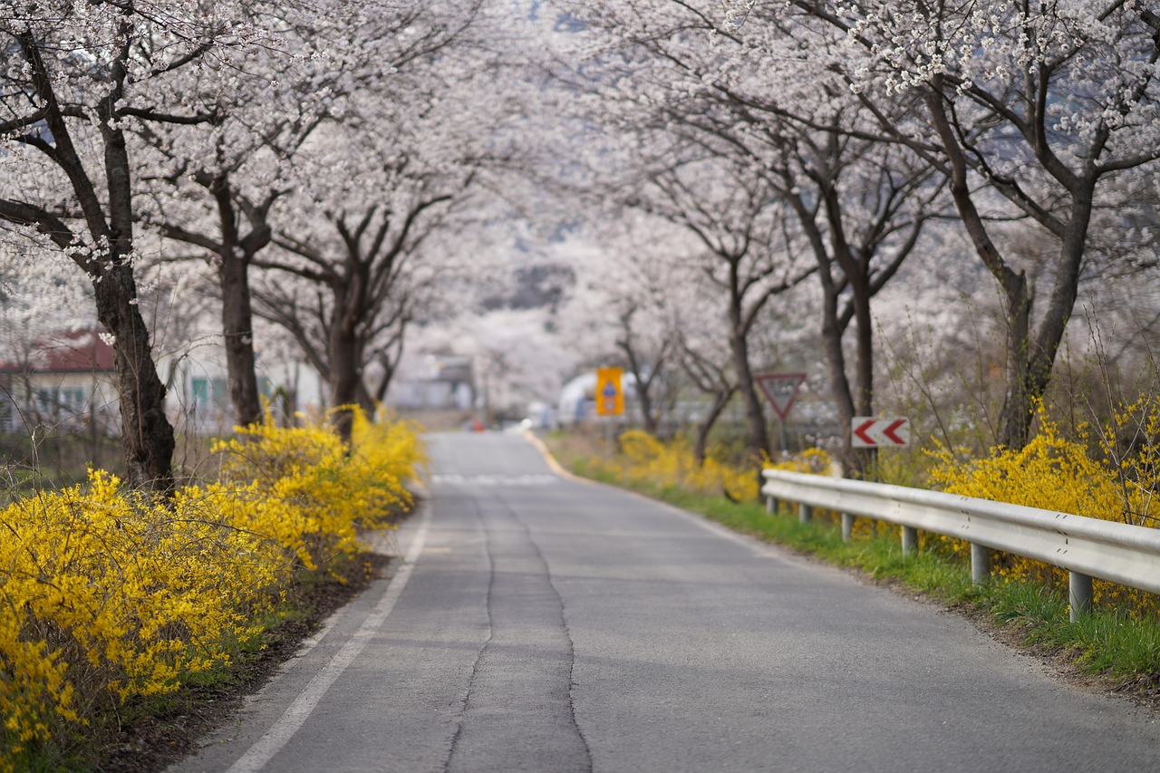 2. 美しい景観が与える生活環境への影響